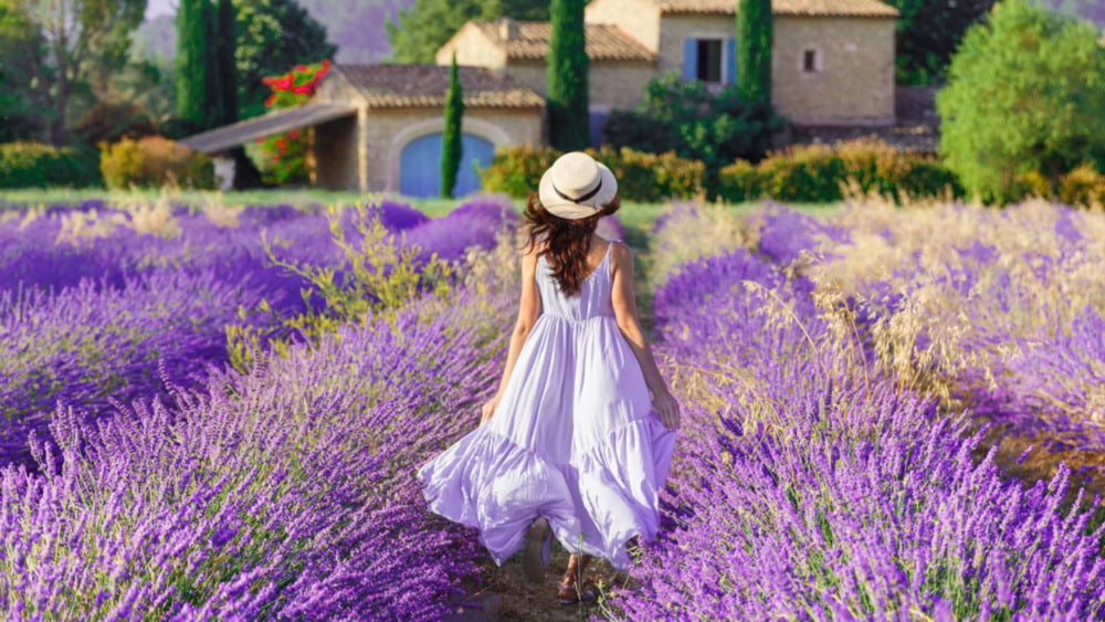 Provence