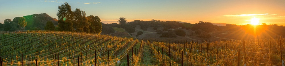 Weinregion Napa Valley