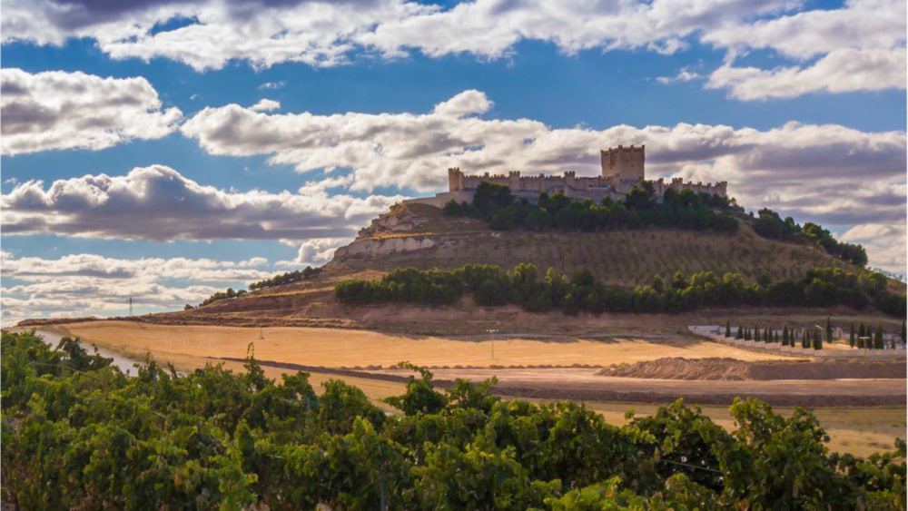 Innovation und Dynamik mit jahrhundertealter Tradition