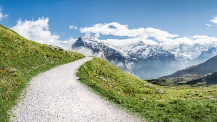 Alpine Landschaft pr&auml;gt den Weinbau