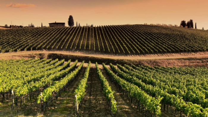 Herbst, Food, Pairing, Rotwein, Solaris