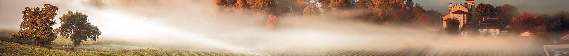 Les Parcellaires de Saulx