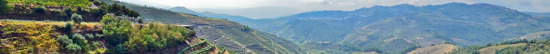 Quinta do Vale Meão