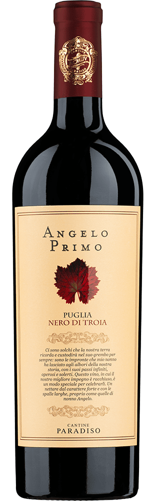 2021 Angelo Primo Nero di Troia Puglia IGP | Mvenpick Wein Shop
