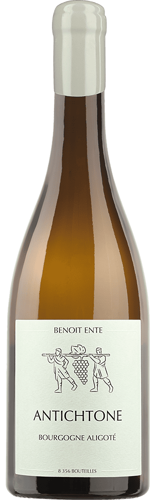 Bourgogne Aligoté AOC Antichtone Benoît Ente | Mövenpick