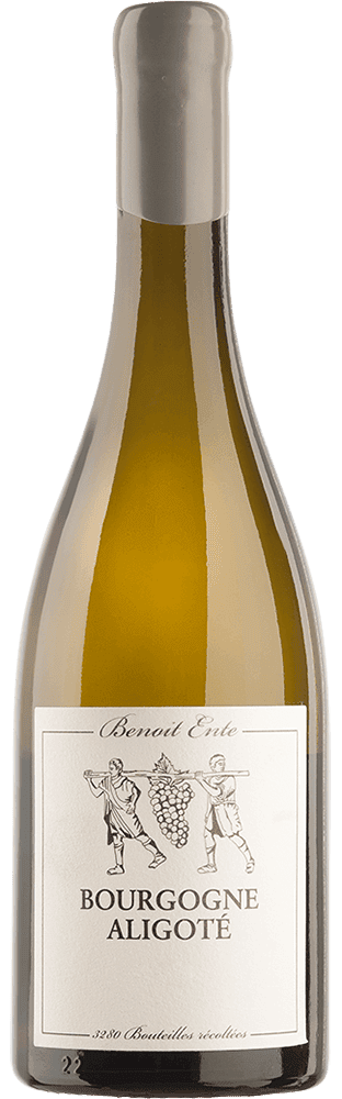 Bourgogne Aligoté AOC Antichtone Benoît Ente | Mövenpick Wein Shop