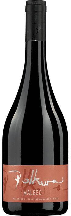 2021 Malbec Marchigue Valle de Colchagua Viña Polkura