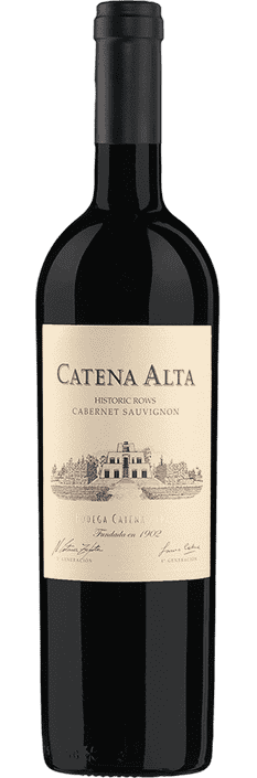 2021 Cabernet Sauvignon Catena Alta Mendoza Bodega y Viñedos