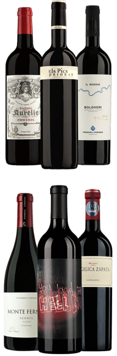 Tasting Box Kraftvoll & Komplex