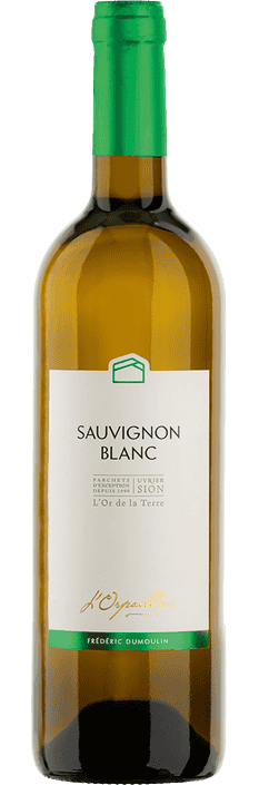 2022 Sauvignon Blanc Valais AOC L'Orpailleur - Frédéric Dumoulin