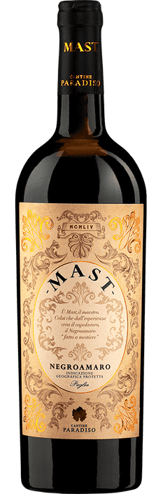 2022 Mast Negroamaro Puglia IGP Cantine Paradiso