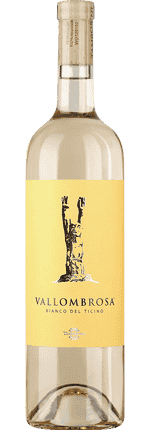 2025 Vallombrosa Bianco Ticino DOC Tamborini