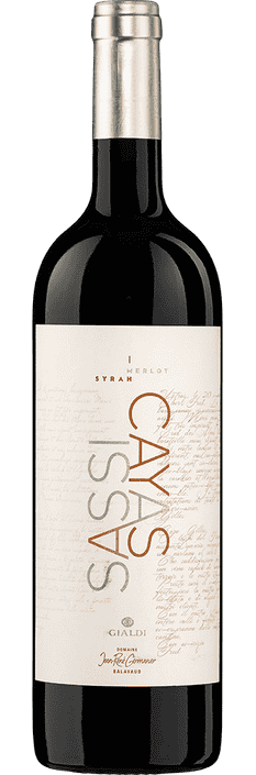 2020 SassiCayas Domaine Jean-René Germanier-Gialdi Vini