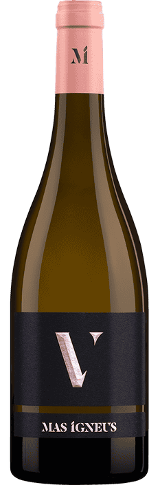 2020 V de Mas Igneus Priorat DOCa