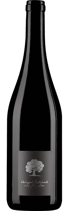 2023 Pinot Noir Eichholz Jenins Graubünden AOC Weingut Eichholz