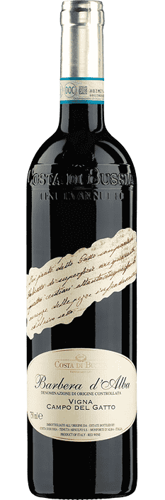2019 Barbera d'Alba DOC Vigna Campo del Gatto Costa Bussia-Tenuta Arnulfo