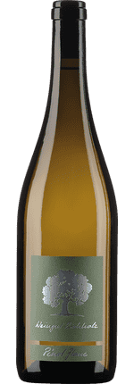 2025 Pinot Blanc Jenins Graubünden AOC Weingut Eichholz (Bio)
