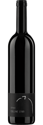 2022 Colline 1789 Gamay Vully AOC Cave et Domaine du Petit Château (Bio)