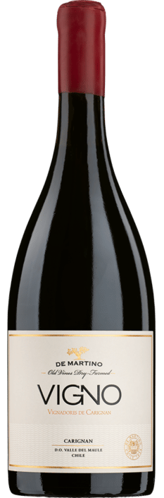 2019 Carignan Vigno La Aguada Vineyard Valle del Maule DO Viña de Martino