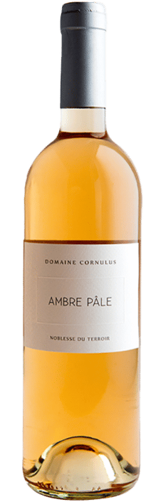 2022 Ambre Pâle Valais AOC Domaine Cornulus