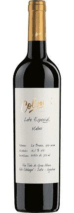 2020 Malbec Lote Especial La Brava Valle Calchaquí Bodega Colomé