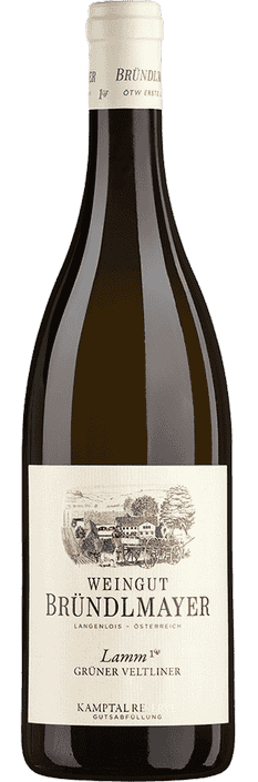 2019 Grüner Veltliner Ried Lamm Kamptal DAC Weingut Bründlmayer (Bio)