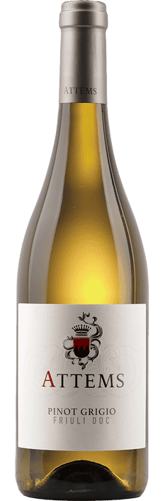 2024 Pinot Grigio Friuli DOC Conti Attems