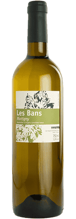 2024 Chasselas Les Bans Martigny Valais AOC Domaine Gérald Besse (Bio)