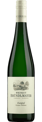 2022 Grüner Veltliner Kamptal DAC Selektion Mövenpick Weingut Bründlmayer (Bio)