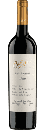 2022 Malbec Lote Especial La Brava Valle Calchaquí Bodega Colomé