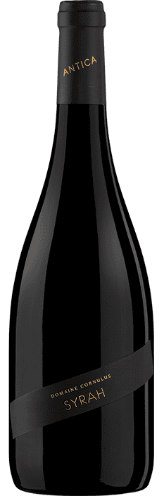 2022 Syrah Antica Valais AOC Domaine Cornulus