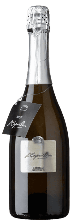 2022 Blanc de Blancs Brut Valais AOC L'Orpailleur - Frédéric Dumoulin