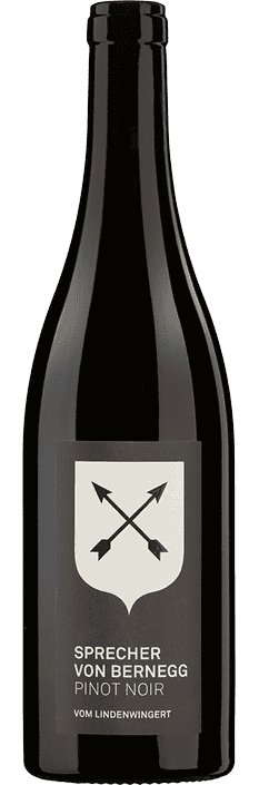 2023 Pinot Noir vom Lindenwingert Graubünden AOC (Biodynamisch) Weingut Sprecher von Bernegg