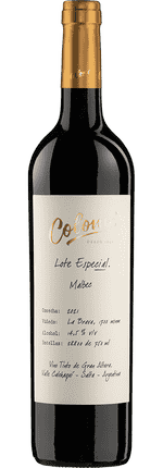 2021 Malbec Lote Especial La Brava Valle Calchaquí Bodega Colomé
