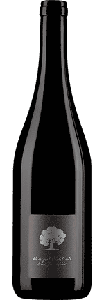 2023 Pinot Noir Eichholz Jenins Graubünden AOC Weingut Eichholz