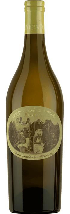 2024 Wiener Gemischter Satz DAC Bisamberg Weingut Wieninger