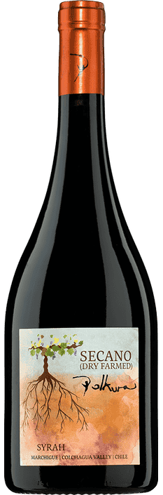 2020 Syrah Secano Marchigue Valle de Colchagua Viña Polkura