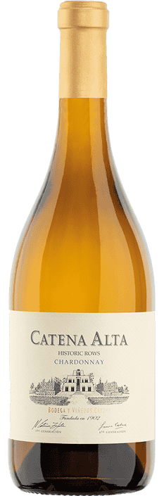 2019 Chardonnay Catena Alta Mendoza Bodega y Viñedos