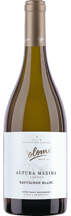 2024 Sauvignon Blanc Altura Máxima Valle Calchaquí Bodega Colomé