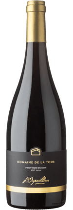 2021 Pinot Noir Diamanterre Valais AOC L'Orpailleur - Frédéric Dumoulin