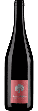 2024 Pinot Noir Jeninser Jenins Graubünden AOC Weingut Eichholz