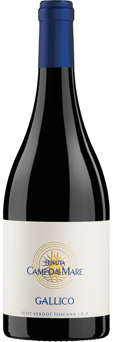2020 Gallico Petit Verdot Toscana IGT Tenuta Campo al Mare Tenute Ambrogio & Giovanni Folonari