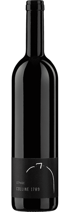 2022 Colline 1789 Gamay Vully AOC Cave et Domaine du Petit Château (Bio)