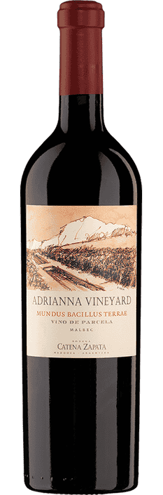 2011 Malbec Mundus Bacillus Terrae Adrianna Vineyard Mendoza Bodega Catena Zapata