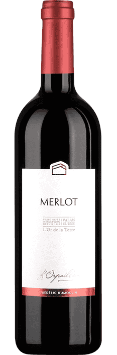 2024 Merlot Valais AOC L'Orpailleur - Frédéric Dumoulin