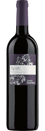 2020 Syrah Les Serpentines Martigny Valais AOC Domaine Gérald Besse