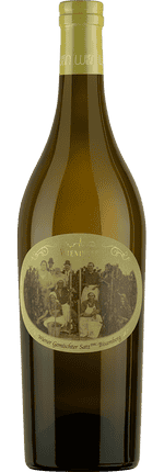 2024 Wiener Gemischter Satz DAC Bisamberg Weingut Wieninger