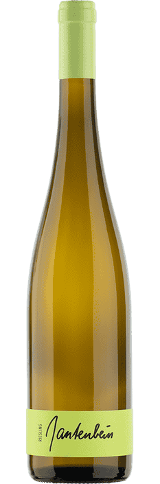 2021 Fläscher Riesling Graubünden AOC Gantenbein