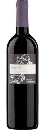 2021 Merlot Les Serpentines Martigny Valais AOC Domaine Gérald Besse (Bio)