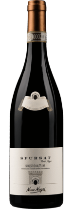 2021 Sfursat Carlo Negri Sforzato Valtellina DOCG Nino